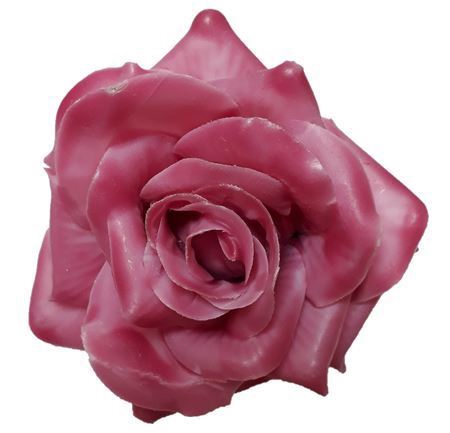 <h4>WAX ROSE D10 OLD PINK</h4>