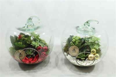 <h4>9142 GLAZEN APPEL</h4>