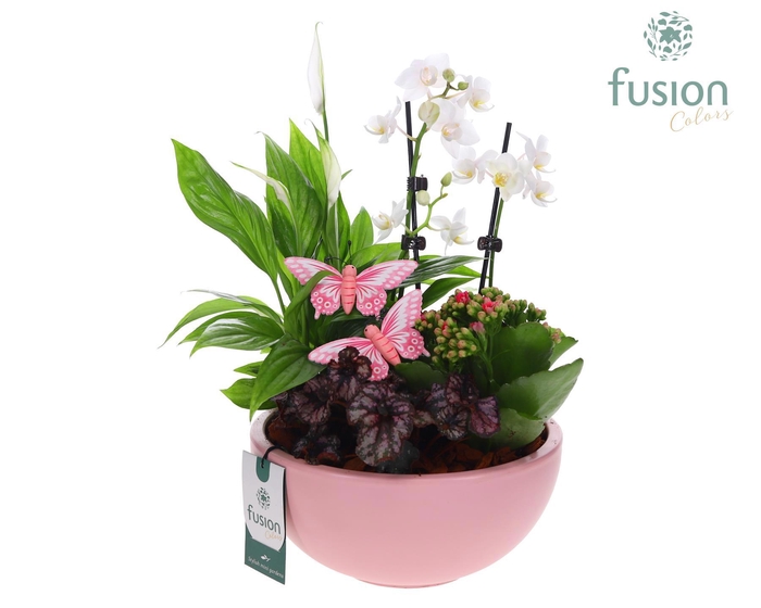 <h4>Schaal keramiek Moon Large bijstekker roze mat Arrangement</h4>