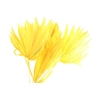 Palm Sun Yellow