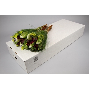 BQ Protea White Pride Carousel