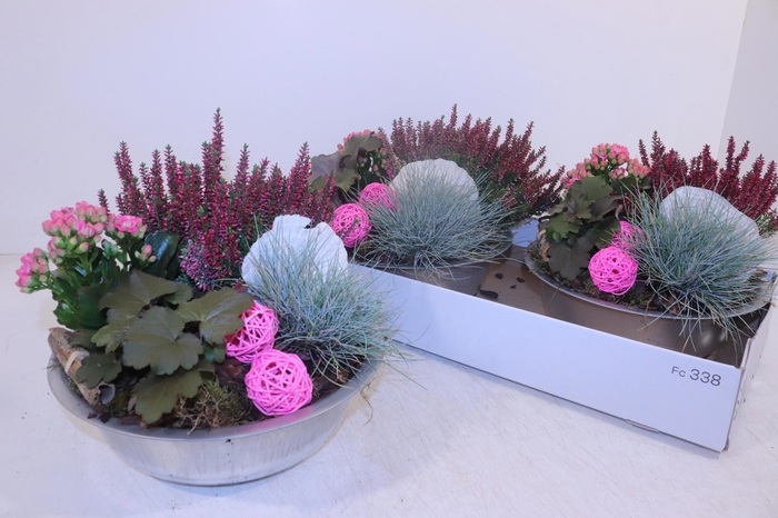 <h4>ARR TUINPLANTEN</h4>