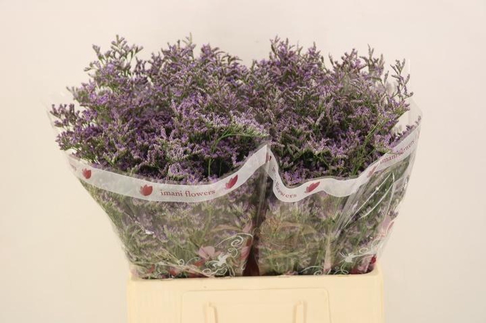 <h4>LIM OV SKYLIGHT</h4>