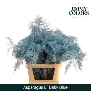 Aspa lang getopt Light blue