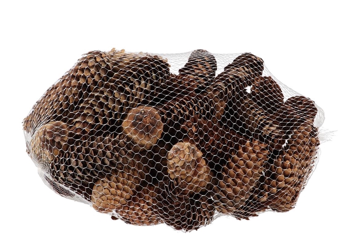 <h4>Nature Spruce Pinecone Natural 1kg</h4>