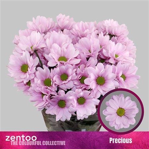 Chr T Precious