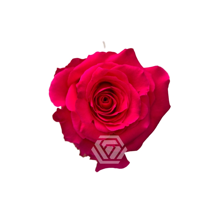 <h4>R GR FULL MONTY</h4>