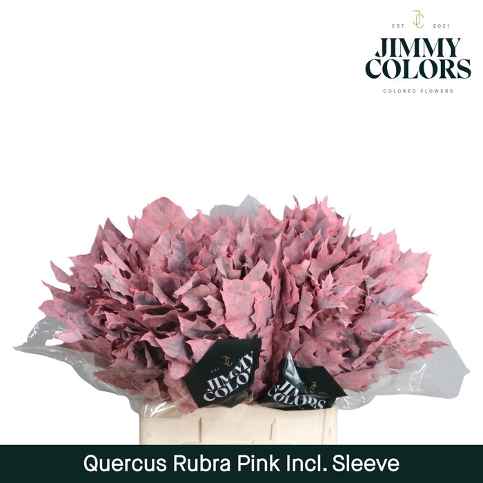 <h4>Quercus Rubra sleeve L60 Pink</h4>