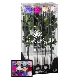 Display 60cm Stem Assorted Pastel