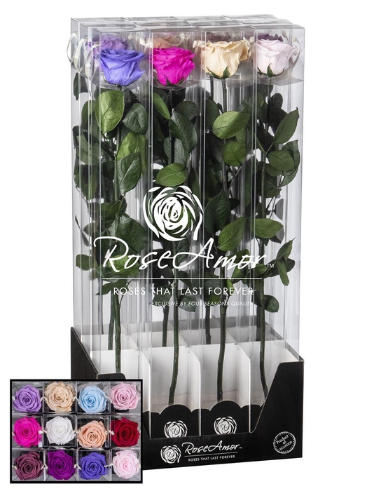 <h4>Display 60cm Stem Assorted Pastel</h4>