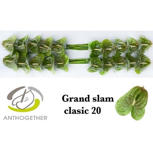 ANTH A GRAND SLAM CLASSIC 20