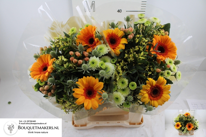 <h4>GEM BOEKET OV</h4>