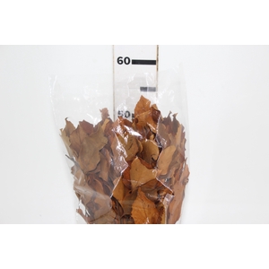 LANTA SECA CARNE DE VACA LARANJA 50CM