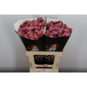 Wax-Rozen Wax Wit Zilver glitter