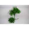 Treefern  XL