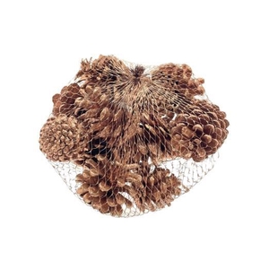 Pinecone Oostenrijker 10pcs