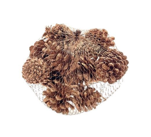 Pinecone Oostenrijker 10pcs