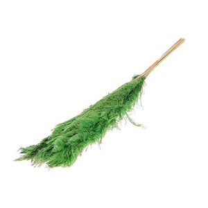 Bunch Gynerium 5 Pcs Slv L120