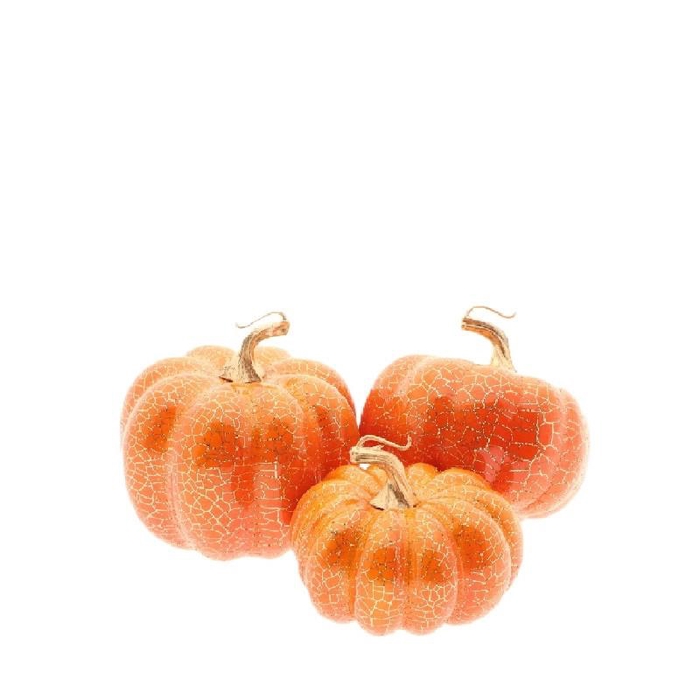 <h4>Herfst Deco pompoen S/3 d09*6/8/9.5cm</h4>