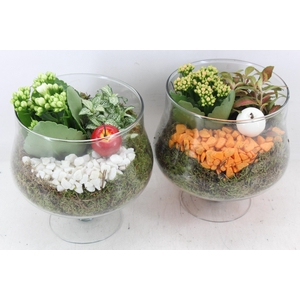Arr2 Pl - Glas Op Voet X6 - Oranje/wit
