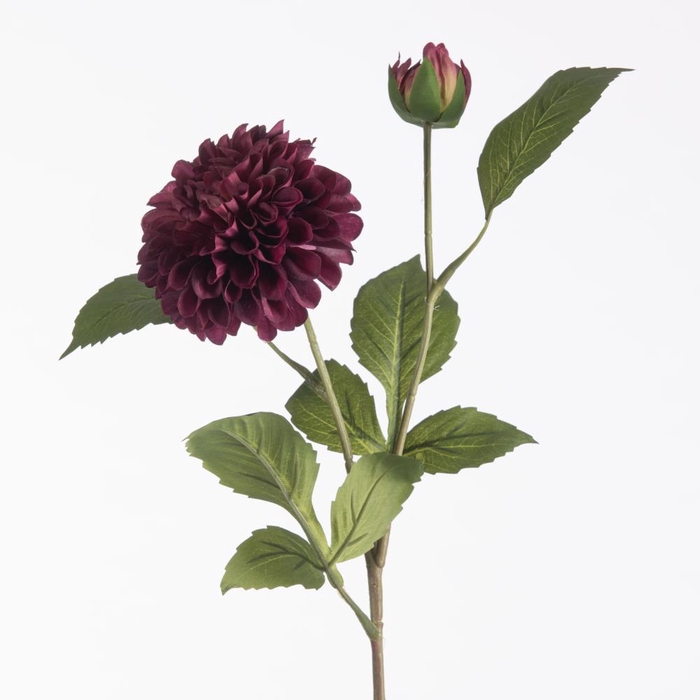 <h4>AF Dahl Pomp x2 61cm Lavender</h4>