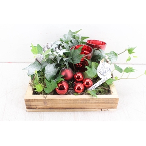 arr. PL Hedera - Hout tray 4kant -