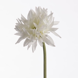 AF Gerbera Spider L55cm White