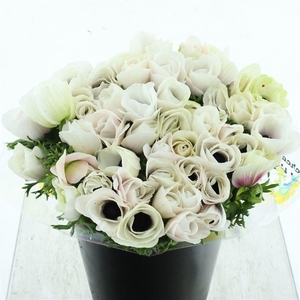 Anem Mistral Sr White Super Xl