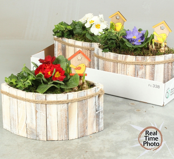 <h4>ARR TUINPLANTEN</h4>