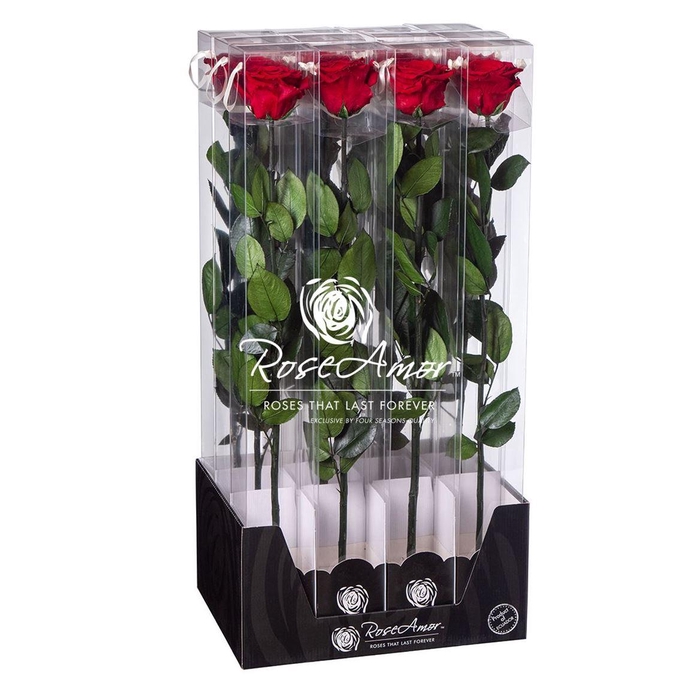 <h4>Display 60cm Stem Red02</h4>