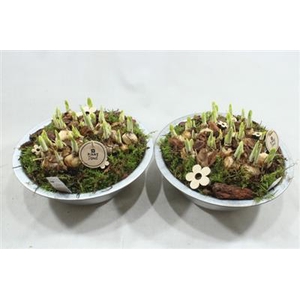 3976 ZINK TETE ANTIEK