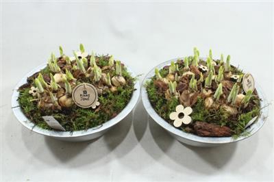 <h4>3976 ZINK TETE ANTIEK</h4>