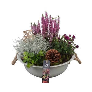 PTHO4016 Arrangement Herfst Outdoor in metalen schaal