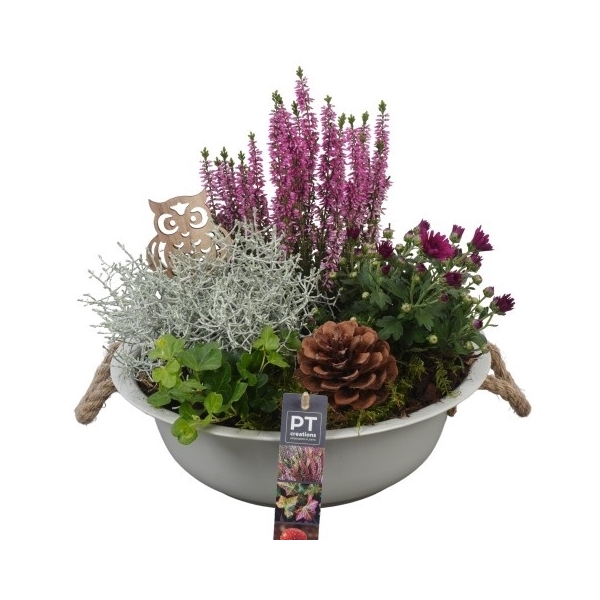 <h4>PTHO4016 Arrangement Herfst Outdoor in metalen schaal</h4>