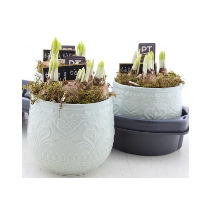 <h4>ARR N TETE A TETE</h4>