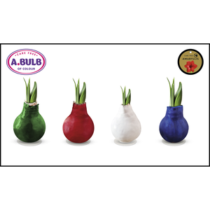 A.BULB of Colour - 28cm Christmas Waxed Mix