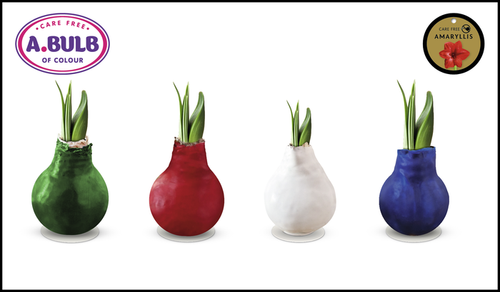 <h4>A.BULB of Colour - 28cm Christmas Waxed Mix</h4>