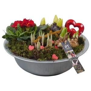 PTVO3616 Arrangement Valentine Outdoor in metalen schaal