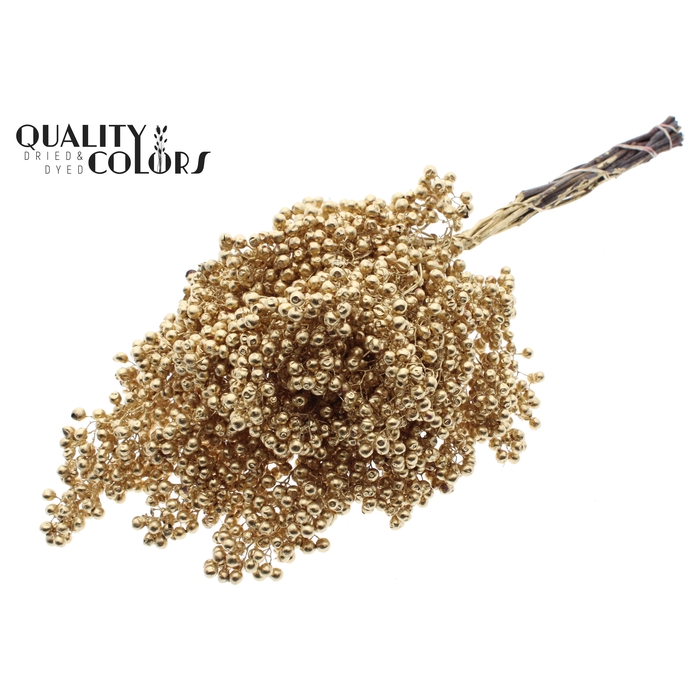 <h4>Pepperberries per bunch in poly Antique Gold</h4>