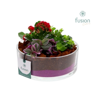 Glazen cilinderschaal met Arrangement