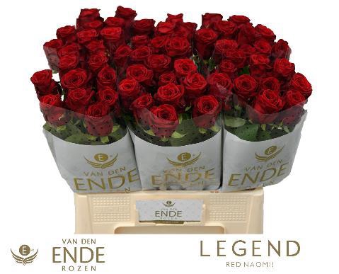 <h4>R GR RED NAOMI!</h4>