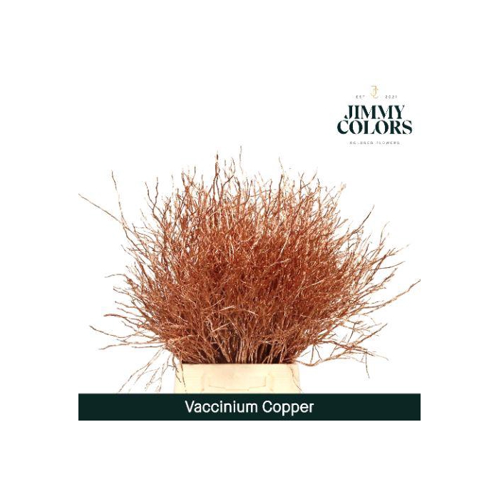 <h4>Vaccinium L50 Koper</h4>