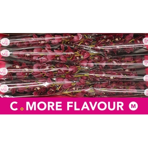 Mini cymbidium 'Howard Robin' 70 cm