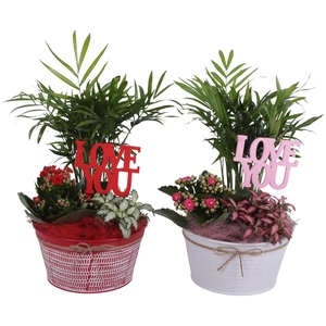 Valentine Arr. Indoor Zinc Pot Round Red/White Ø17cm 3PP