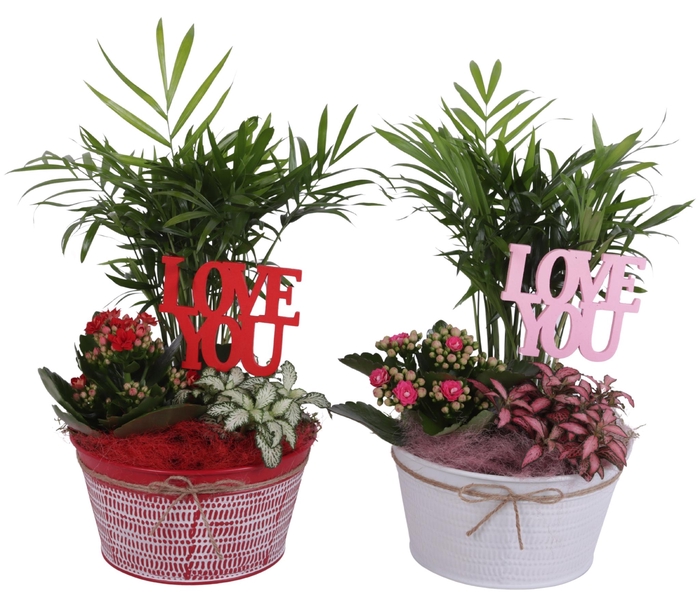 <h4>Valentine Arr. Indoor Zinc Pot Round Red/White Ø17cm 3PP</h4>