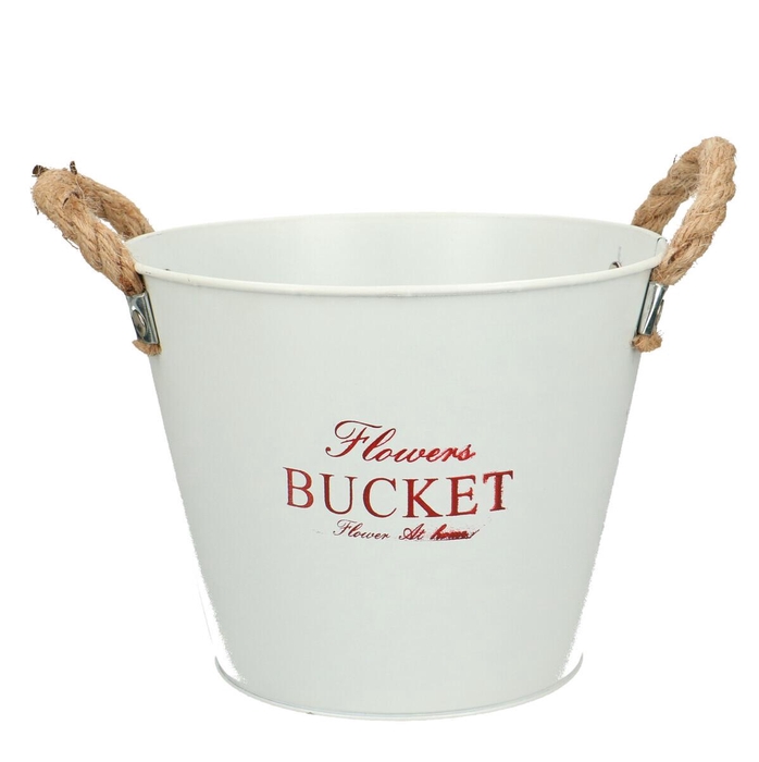 <h4>Promo Flower bucket pot d19*15cm</h4>