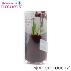 Hipp Waxbulb Velvet Bordeaux Koker