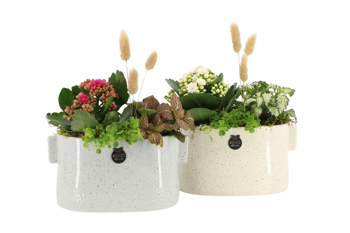 <h4>41529: Consideration arrangement</h4>