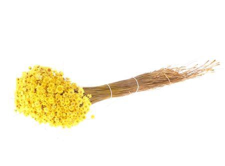 Bunch Glixia Slv 80g L40