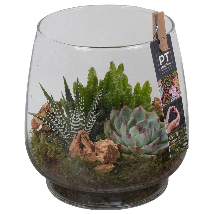 <h4>PTGIG2134 Arrangement Greens in glass in glazen vaas</h4>